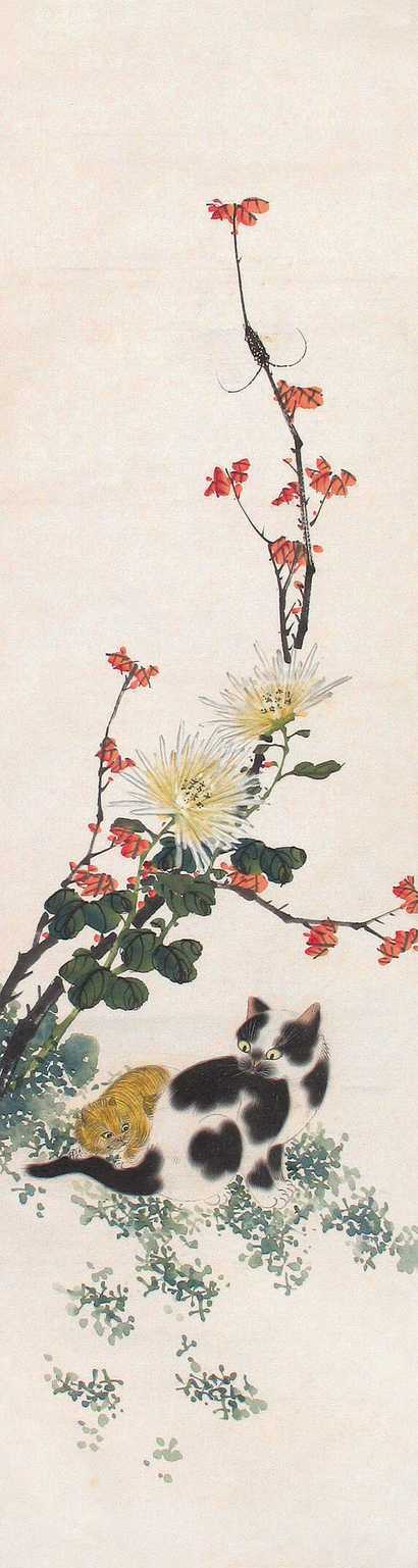 佚名 菊猫图 立轴
